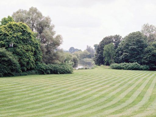 green grass field with trees