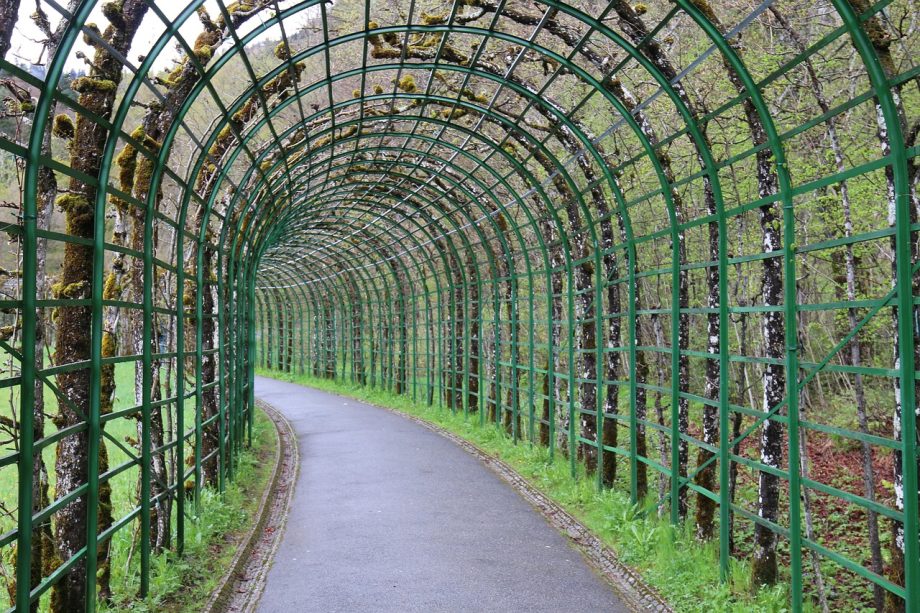 Een Noord-gerichte tuin met schaduwrijke beplanting en lichte bestrating