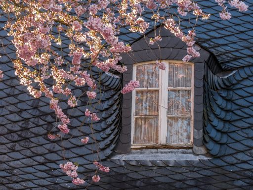Een dakkapel aan de buitenkant van een woning die zichtbare slijtage toont en aan renovatie toe is