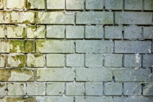 Donkere schimmelplekken in de hoek van een witte muur, typisch beeld van condensatieschimmel in een woning