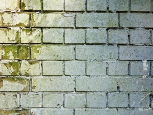 Donkere schimmelplekken in de hoek van een witte muur, typisch beeld van condensatieschimmel in een woning