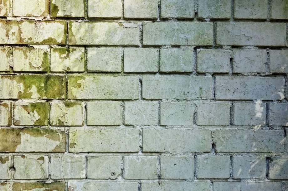 Donkere schimmelplekken in de hoek van een witte muur, typisch beeld van condensatieschimmel in een woning