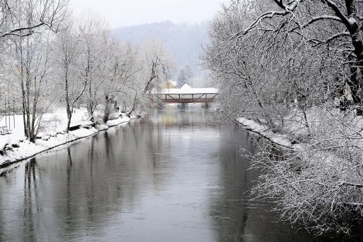Vijver in de tuin met een dun ijslaagje in de winter