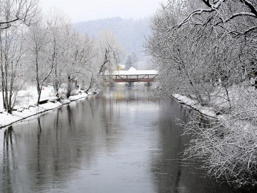 Vijver in de tuin met een dun ijslaagje in de winter