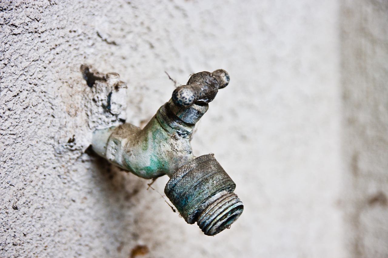 Een vorstvrije buitenkraan gemonteerd op een bakstenen muur met een rozet eromheen
